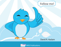 The Twitter Workbook (book cover design)